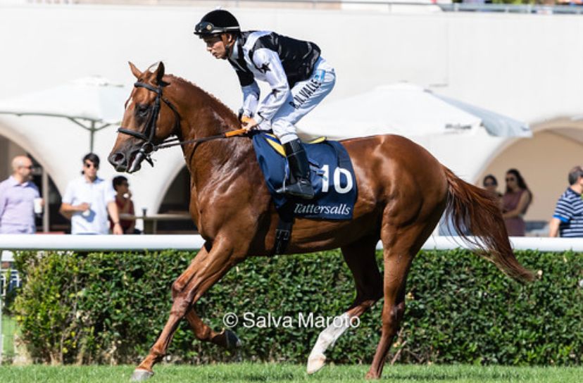 11-09-2022 2ª Carrera- Premio TATTERSALLS