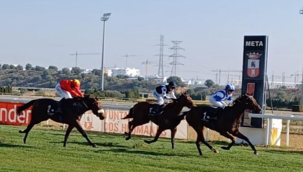 21-01-20 5º PREMIO TATTERSALLS (D)
