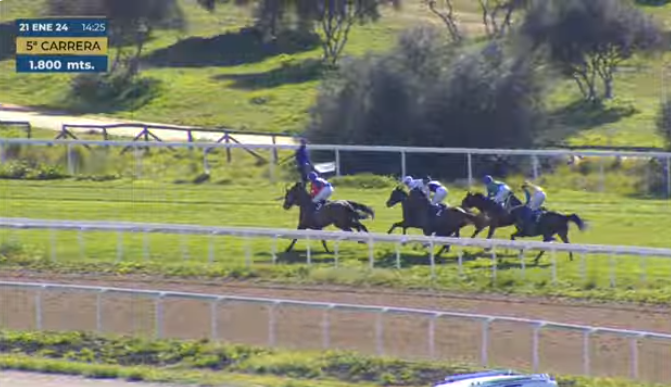 21-01-24 5ª PREMIO TATTERSALLS